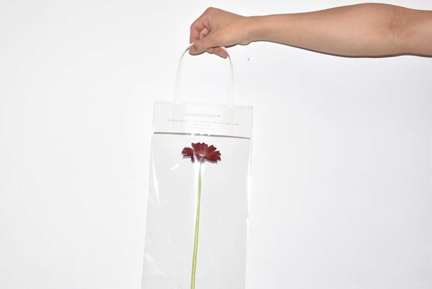 【表参道店】GW Flower Present & 10% POINT UP