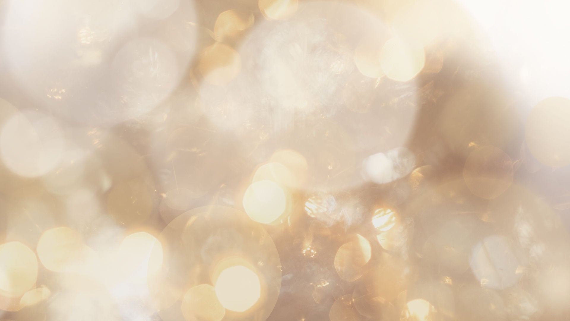 【Since 1925】Golden Collection Debut