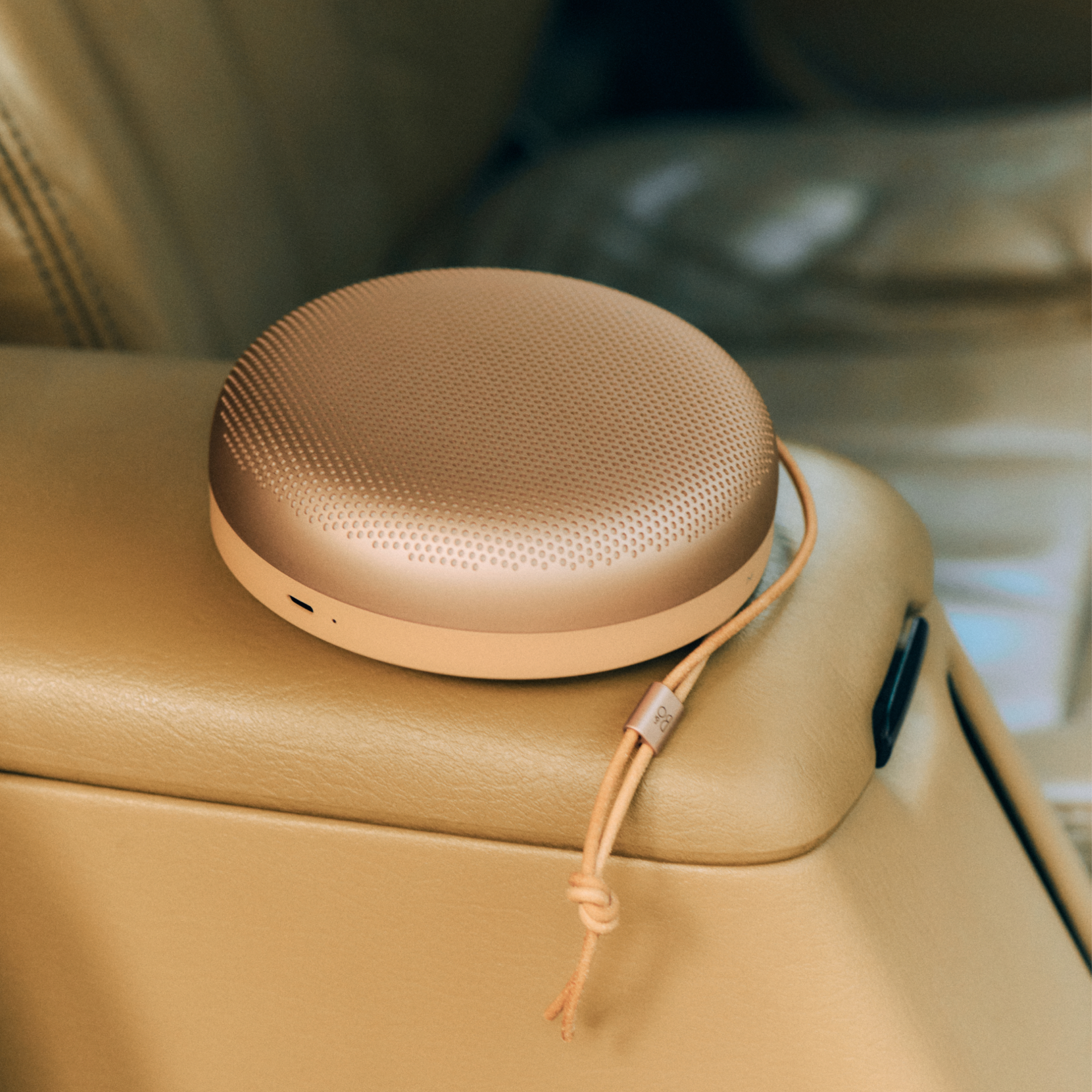 Beosound A1 3rd Gen