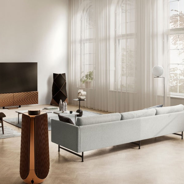 NEW】Beovision Harmony Motorized Floor Stand 新発売 – Bang