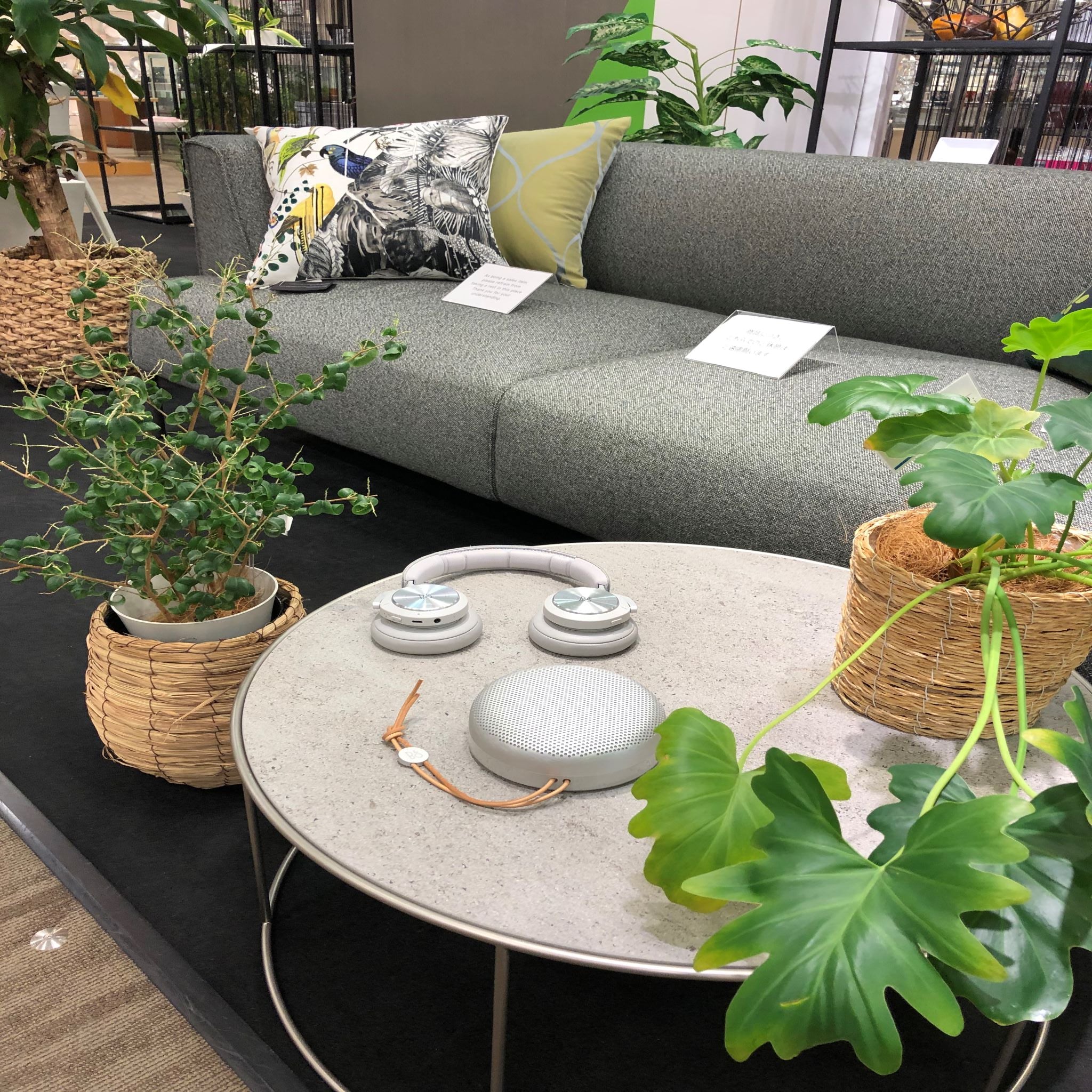 【西武渋谷店】CONTRASTコレクションとともに愛でる春